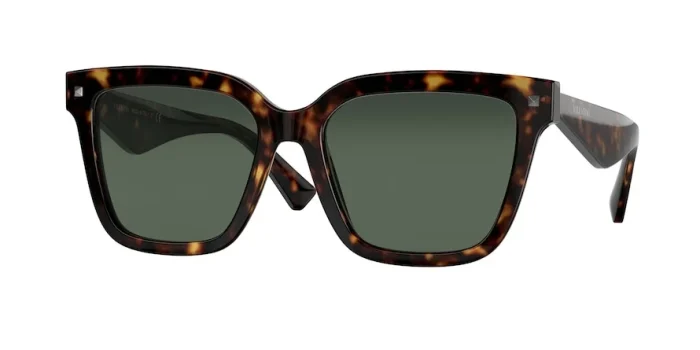 Gafas de sol Valentino VA_4084_500271